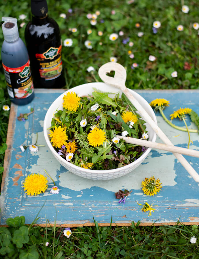 V misce salát s bylinkami ze zahrady a trávníků, pampelišky, sedmikrásky, bzenecký ocet vedle položený.
