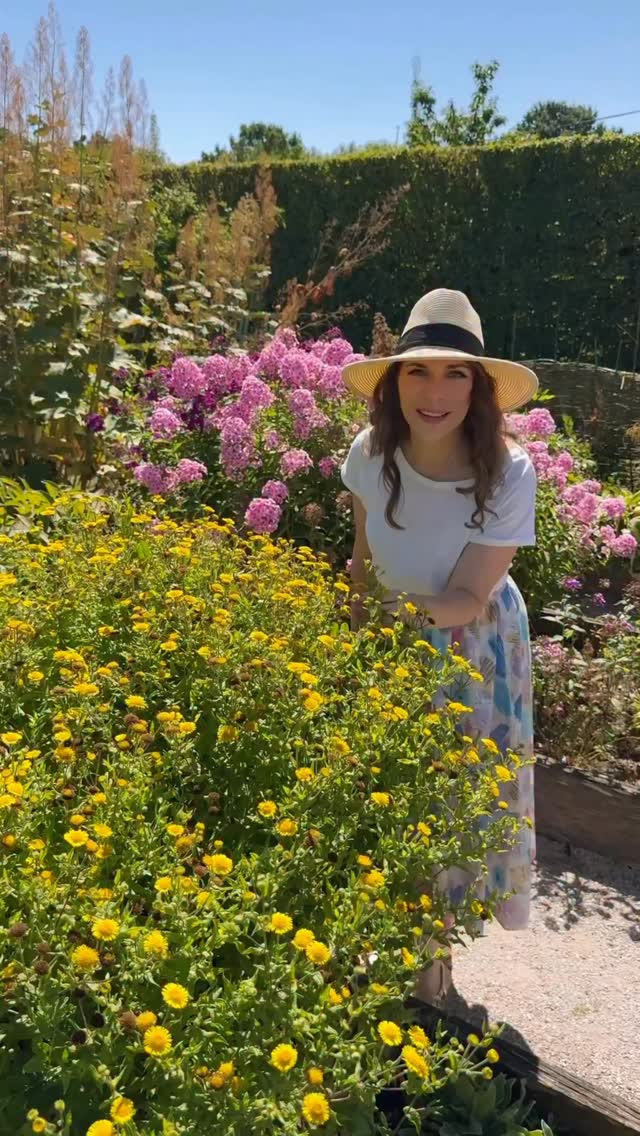 Přírodní kosmetika je u nás doma dlouhodobá stálice 🌼

Mám ráda značku Weleda, která má i jemnou dětskou měsíčkovou řadu. Je šetrná k pokožce i k přírodě a není testovaná na zvířatech. 🐇 Bez umělé parfemace, mikroplastů, inspirovaná přírodou i moderním přístupem k péči.

A teď navíc běží výhodná akce:
🌿 BABY a MAMA bundles -25 % do 14. 6.
🌿 jednotlivé produkty Weleda Baby a Mama -20 % do 15. 6.

#jemnostnenislabost #WeledaBaby #WeledaCZ *spolupráce